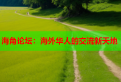 海角论坛：海外华人的交流新天地